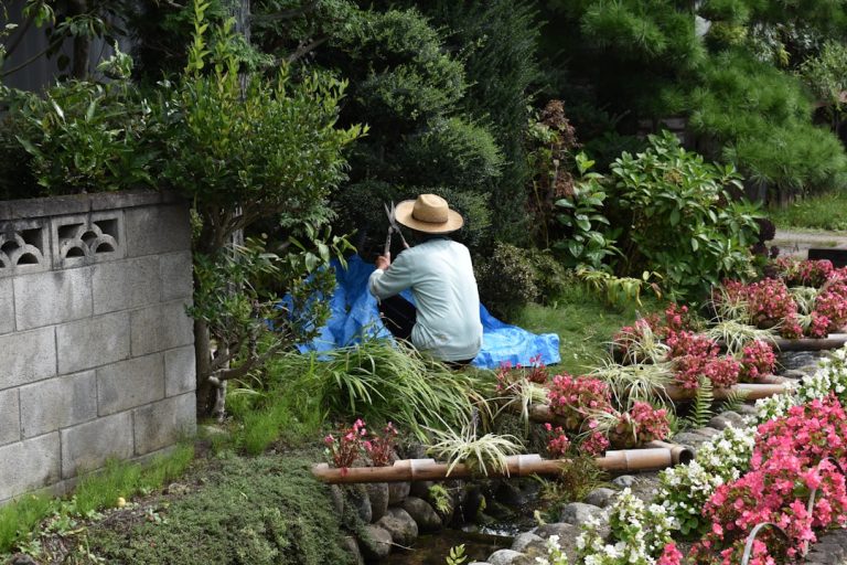 環境に優しい庭づくり: エコなアプローチ